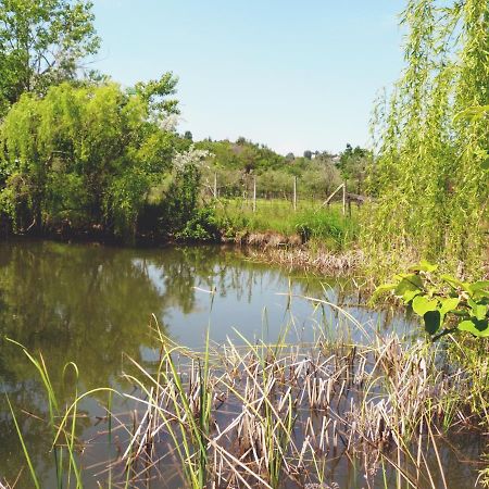 Pian Del Pigro Villa Rimini Buitenkant foto