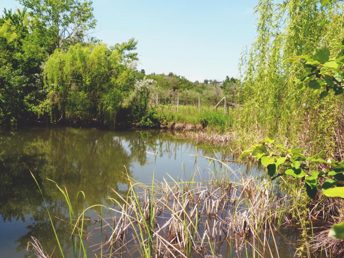 Pian Del Pigro Villa Rimini Buitenkant foto